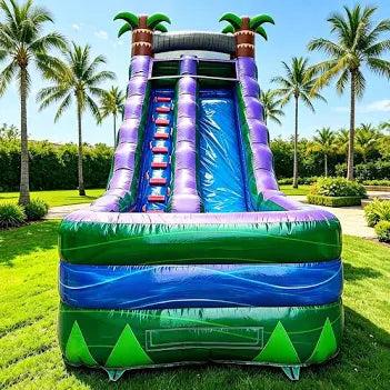 Water Slide and Dunk tanks
