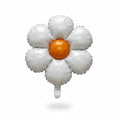 Dasy small