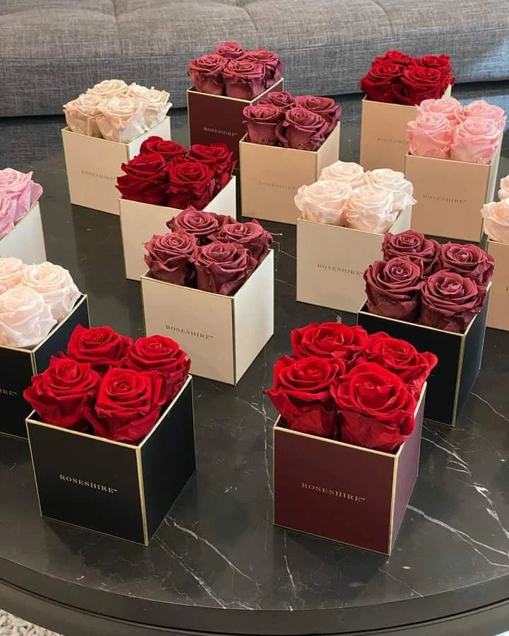 Small Rose Box – A Touch of Luxury