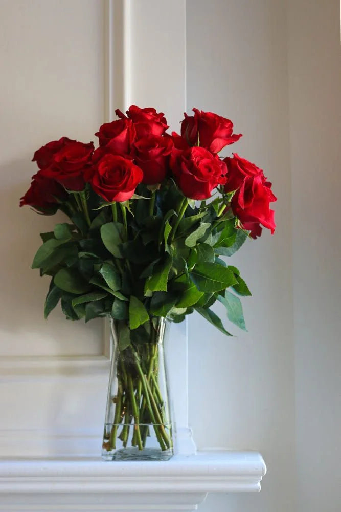 24 Roses in a Vase – Classic Romance