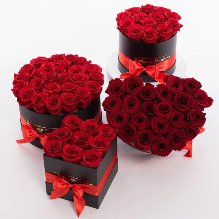 Large Rose Box – Elegant Luxury in Bloom
