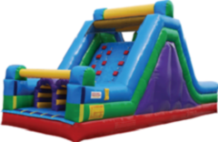 30ft Inflatable Rock Wall