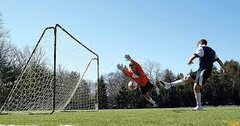 Soccer Goal w/Balls