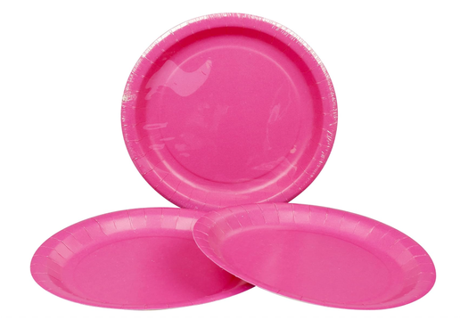 24 Pcs Large Paper Plates