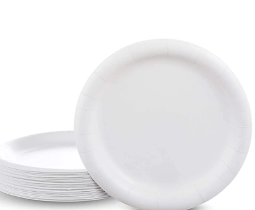 24 Pcs Large Paper Plates