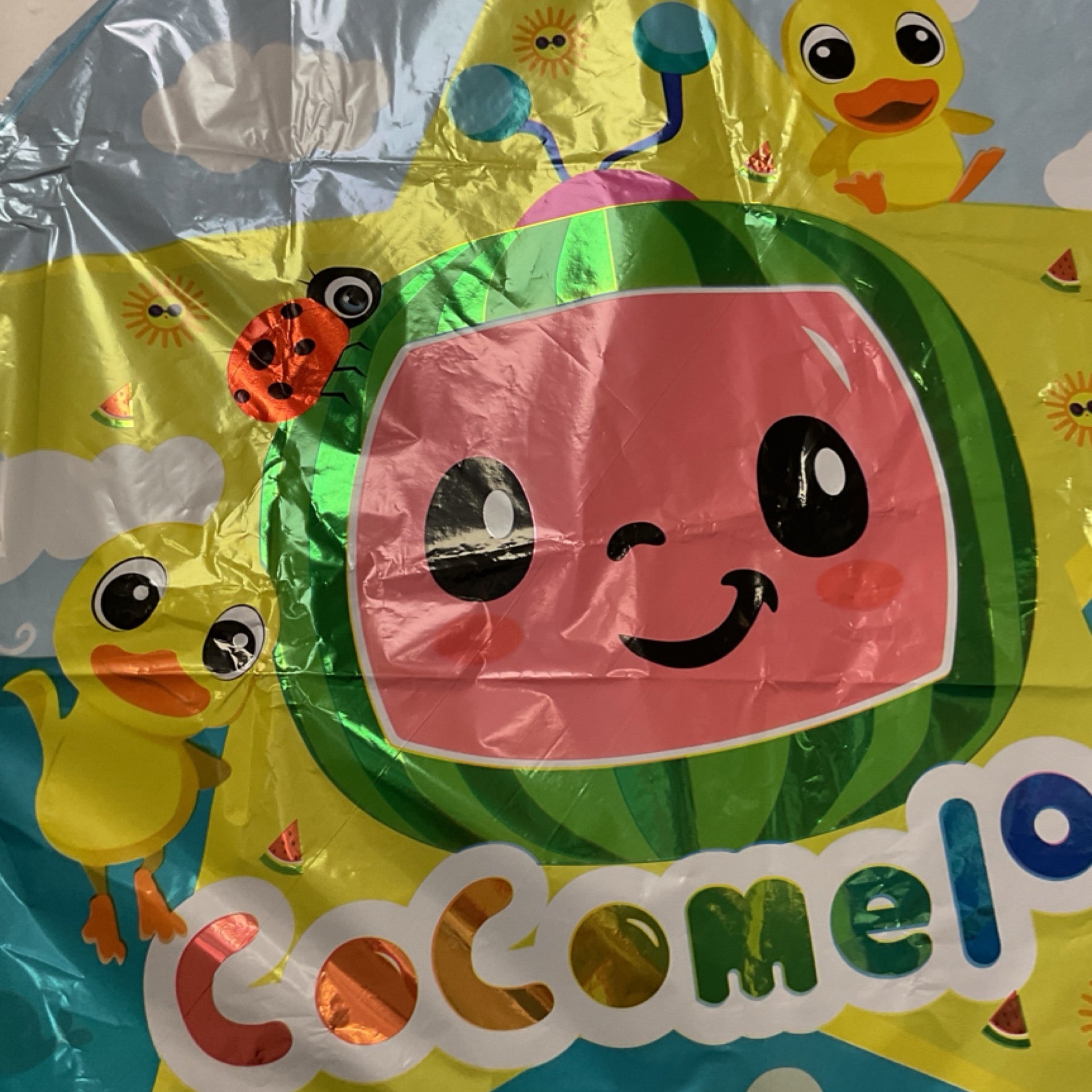Cocomelon DS 18”Ballon K62