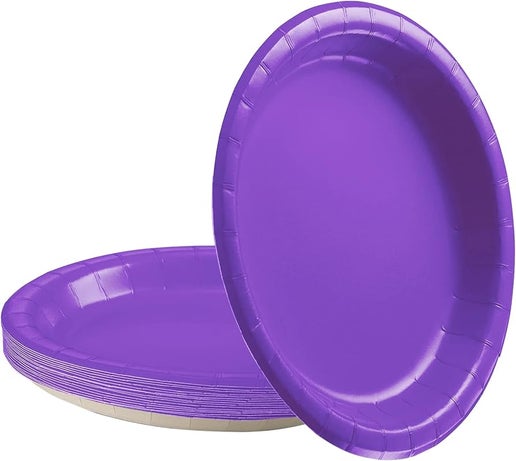 24 Pcs Large Paper Plates