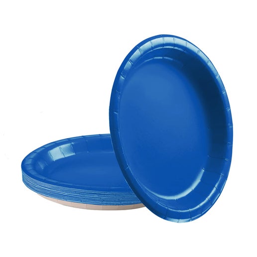 24 Pcs Large Paper Plates